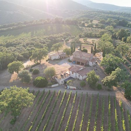 Agriturismo Belvedere Di Pierini E Brugi Campagnatico 外观 照片