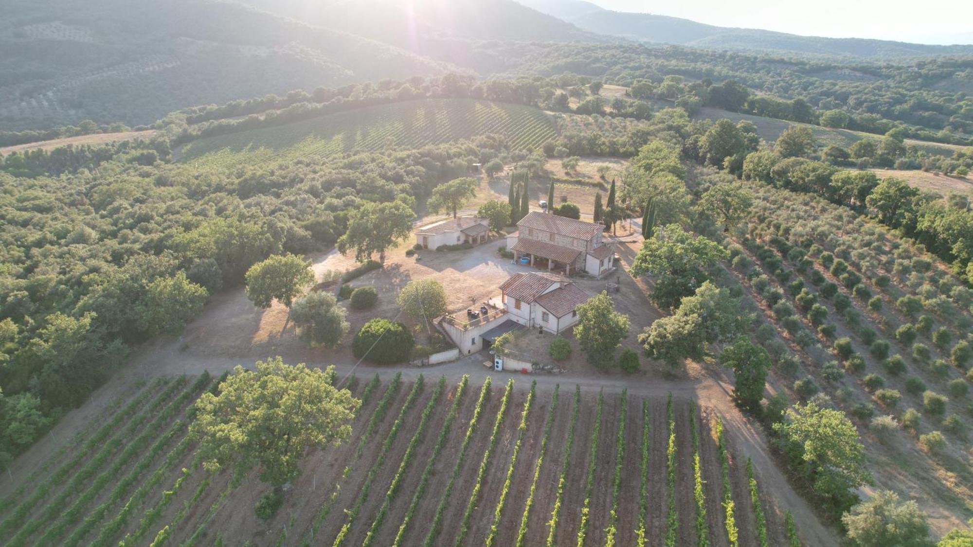 Agriturismo Belvedere Di Pierini E Brugi Campagnatico 外观 照片