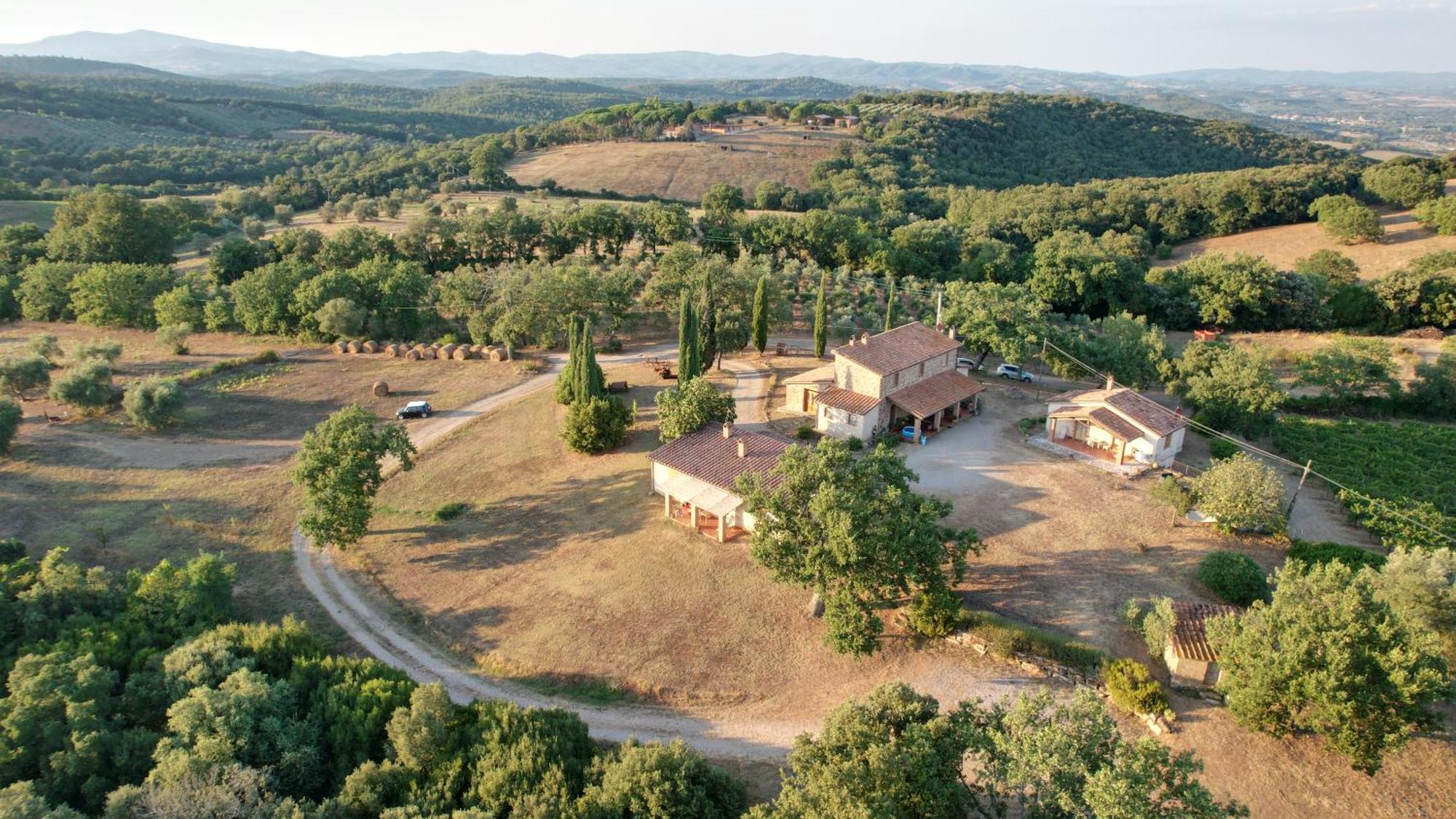 Agriturismo Belvedere Di Pierini E Brugi Campagnatico 外观 照片