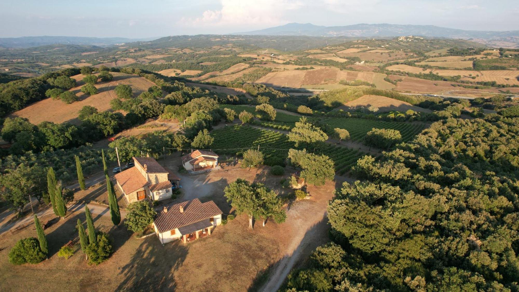 Agriturismo Belvedere Di Pierini E Brugi Campagnatico 外观 照片