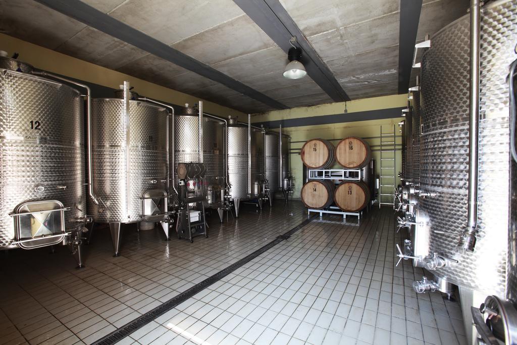 Agriturismo Belvedere Di Pierini E Brugi Campagnatico 外观 照片