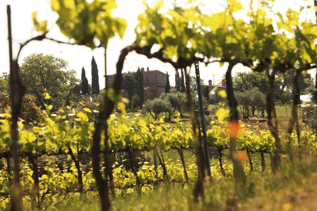 Agriturismo Belvedere Di Pierini E Brugi Campagnatico 外观 照片