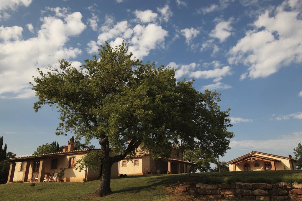 Agriturismo Belvedere Di Pierini E Brugi Campagnatico 外观 照片