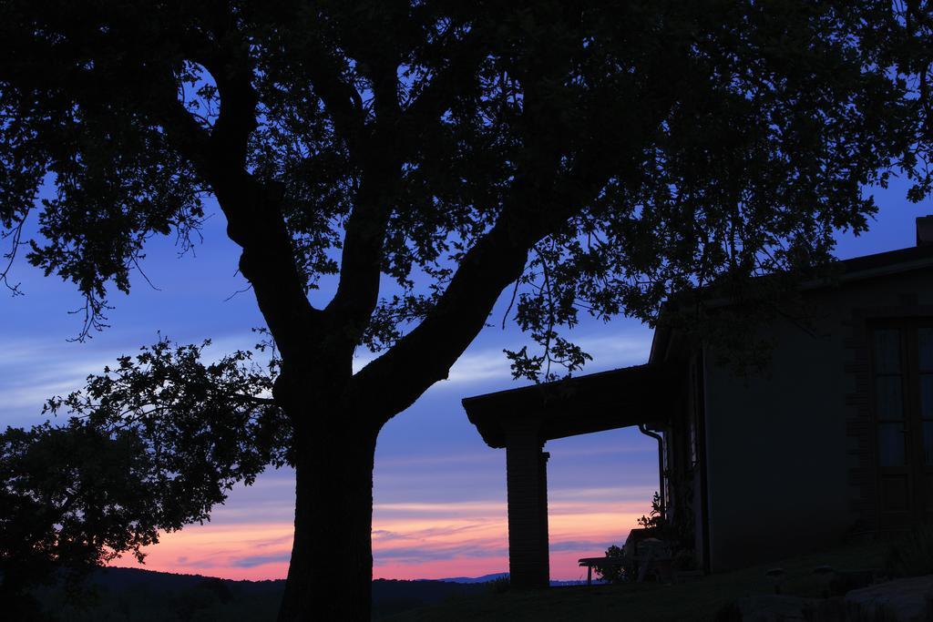 Agriturismo Belvedere Di Pierini E Brugi Campagnatico 客房 照片