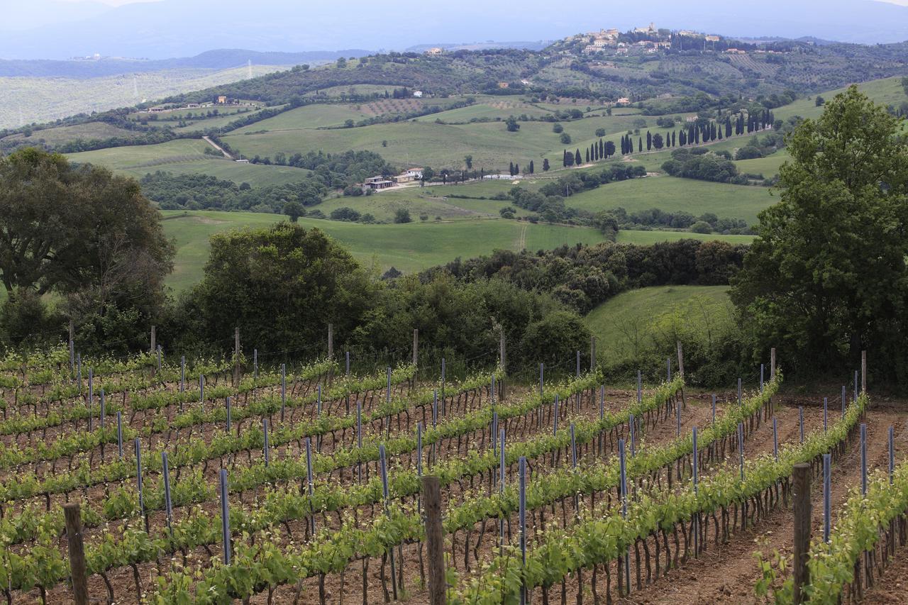 Agriturismo Belvedere Di Pierini E Brugi Campagnatico 外观 照片