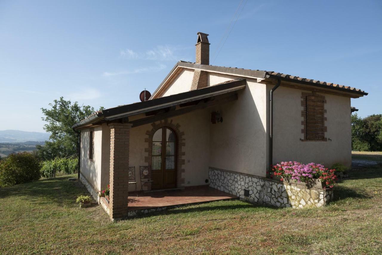 Agriturismo Belvedere Di Pierini E Brugi Campagnatico 外观 照片